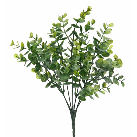 Eucalyptus Bush Pick